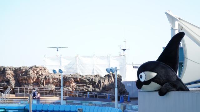 1635770440817009978.jpeg 44.jpeg