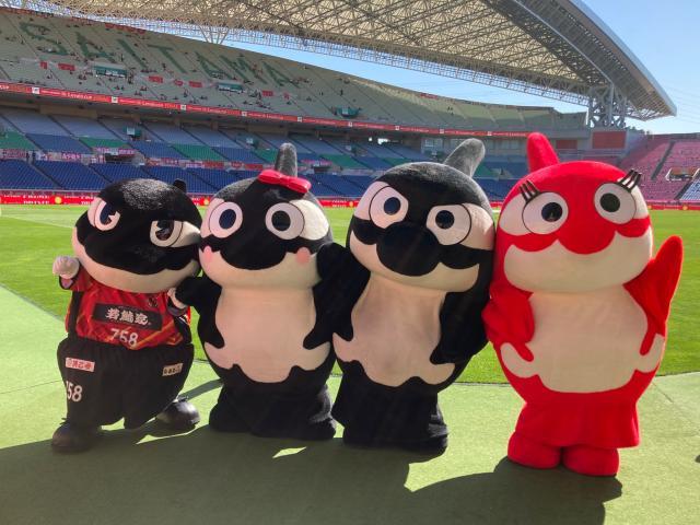 1635770606548017958.jpeg 44.jpeg